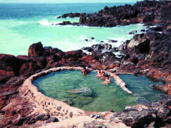 ���C���h�Ȃ��̉���̓e���r�ł����т��ѕ�������܂�