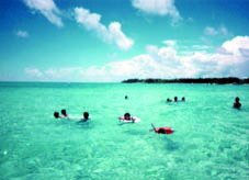 ��̂��݂��[�ĂȊ�������